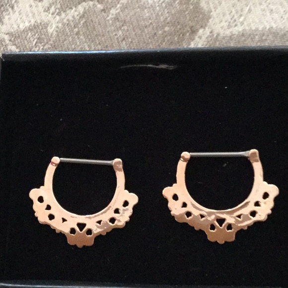 Septum’s - Picture 4 of 4